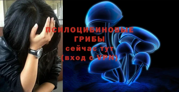 mix Алексин