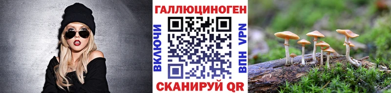 Псилоцибиновые грибы Psilocybe  Добрянка 