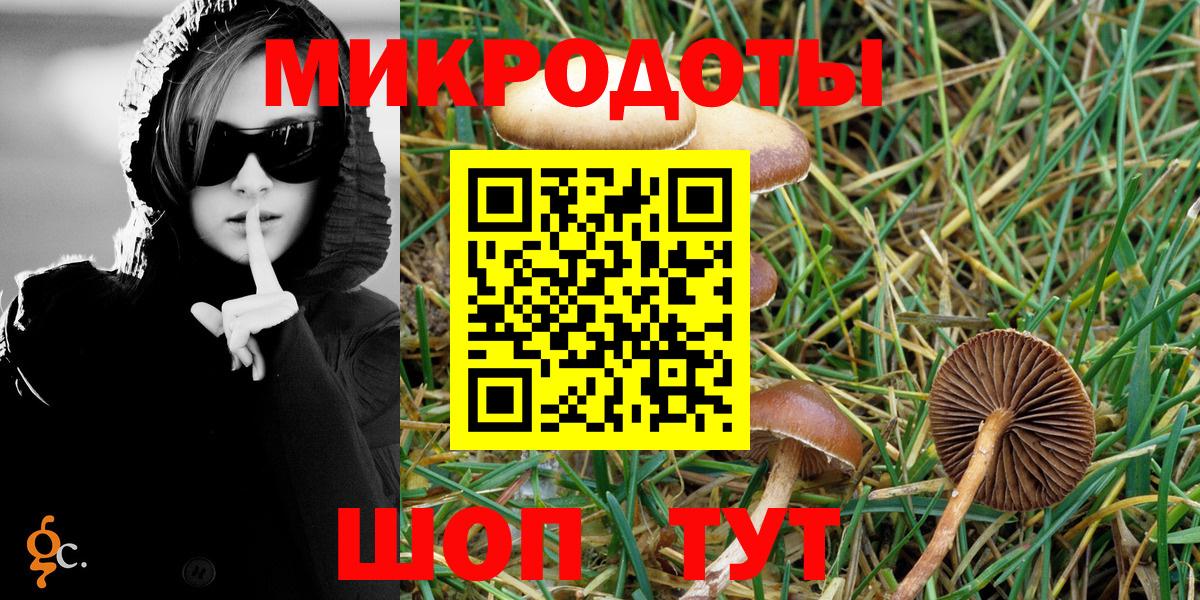 Псилоцибиновые грибы Psilocybe Добрянка
