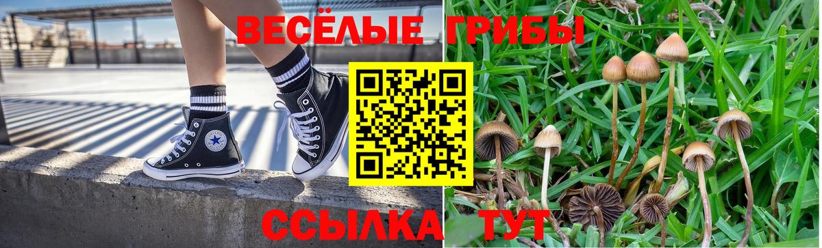 Псилоцибиновые грибы Cubensis  Псилоцибиновые грибы Psilocybe  Добрянка  Вход с VPN 