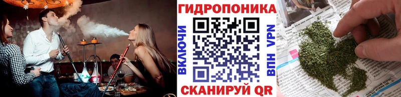 Марихуана сатива  Добрянка 